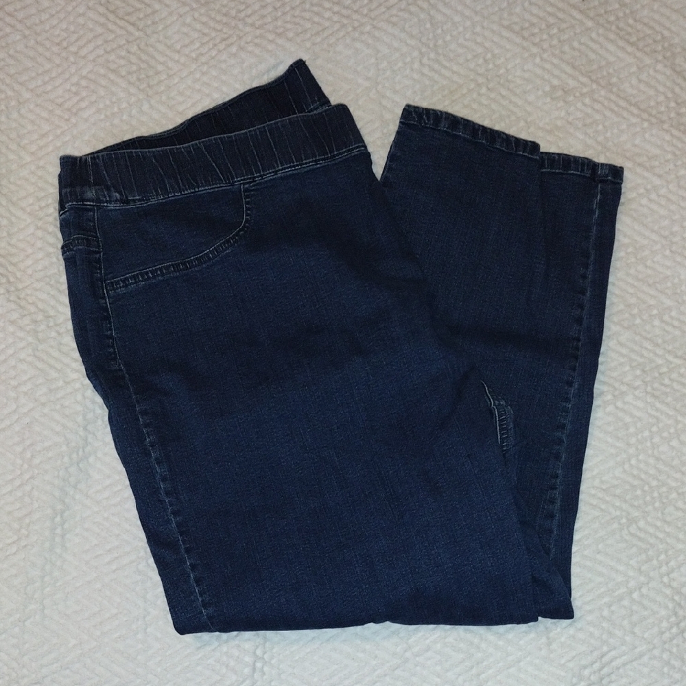 Karen Scott Jeggings